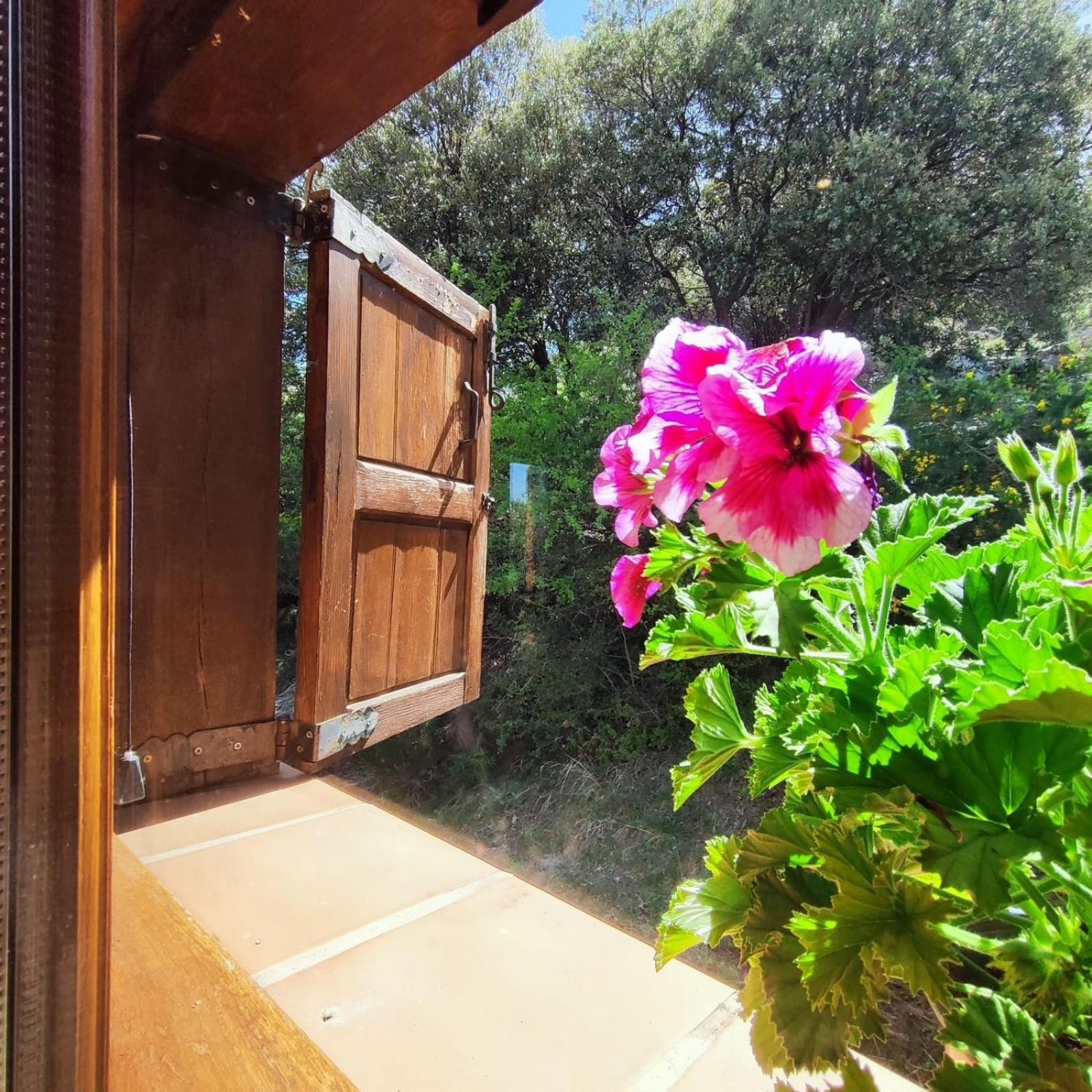 Refugio Del Aguila "Casa Diaman" Pension Guejar Sierra Buitenkant foto