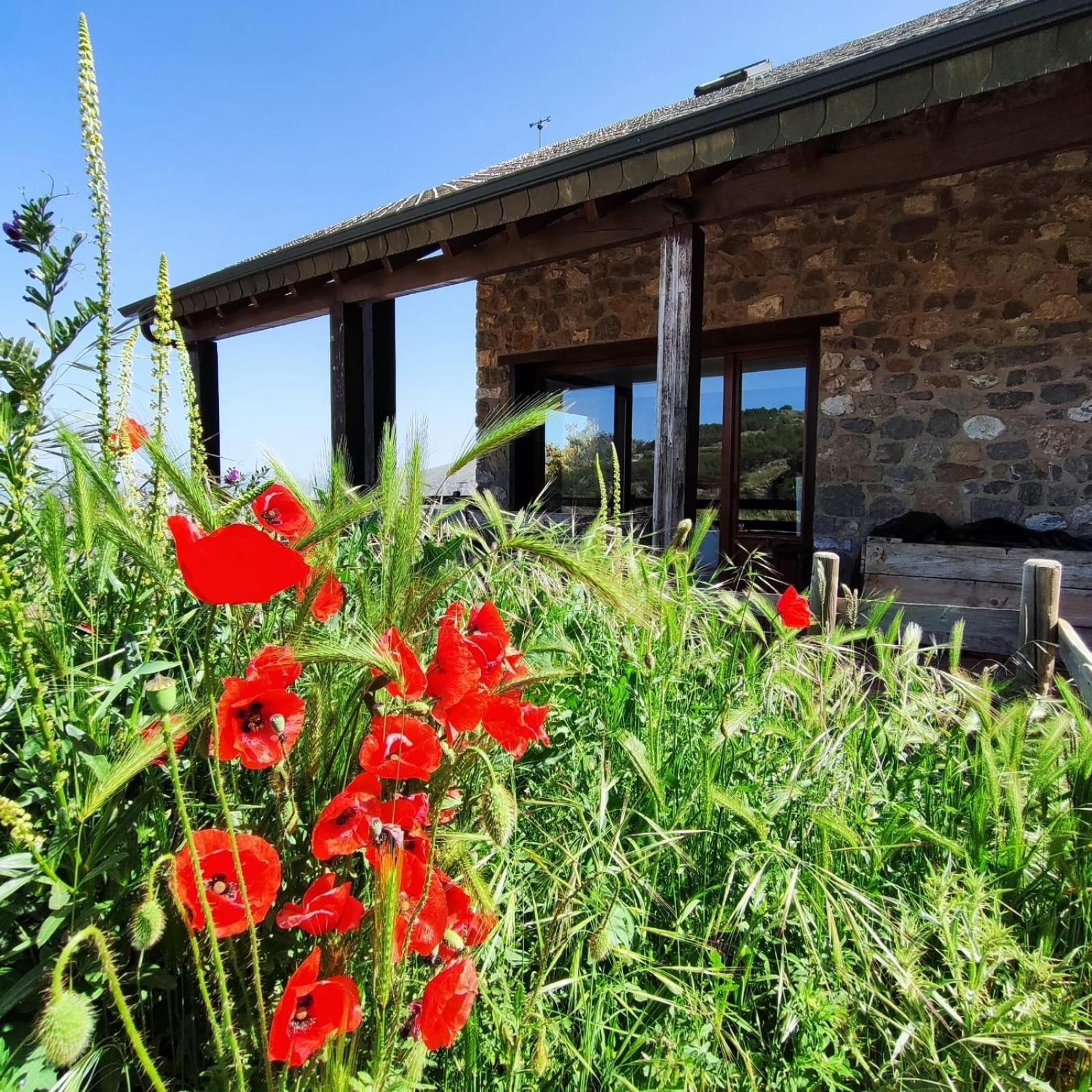 Refugio Del Aguila "Casa Diaman" Pension Guejar Sierra Buitenkant foto